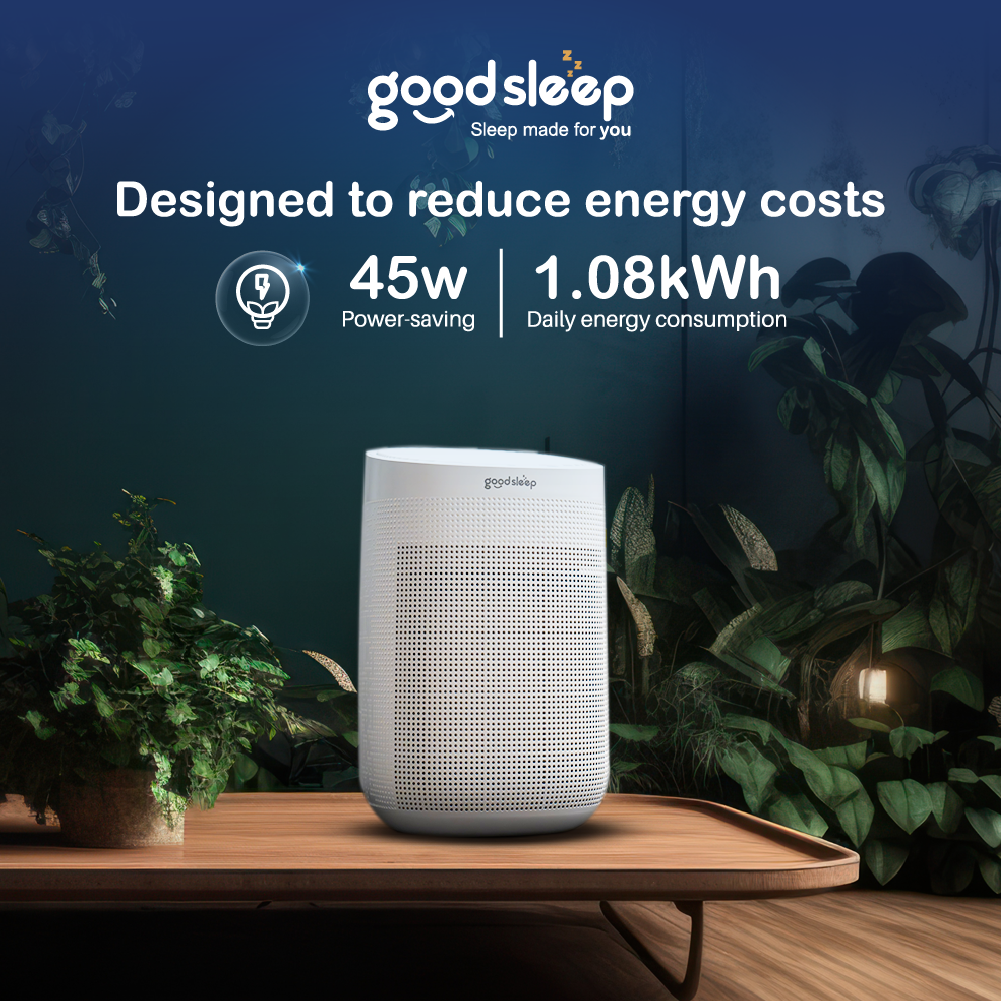 Goodsleep Forest 2-in-1 Dehumidifier/Air Purifier