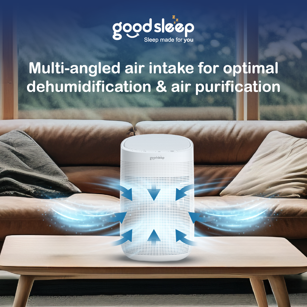 Goodsleep Forest 2-in-1 Dehumidifier/Air Purifier