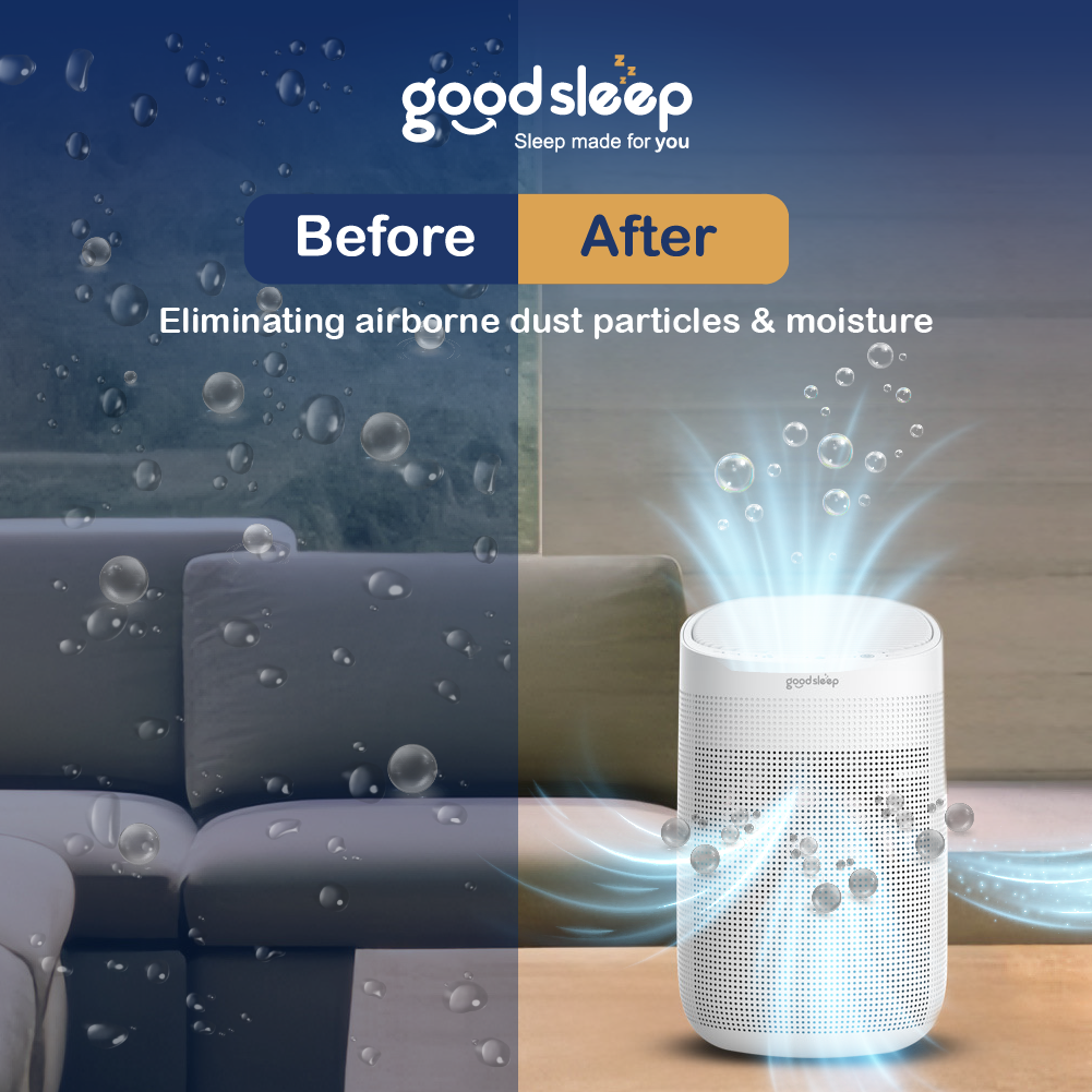 Goodsleep Forest 2-in-1 Dehumidifier/Air Purifier