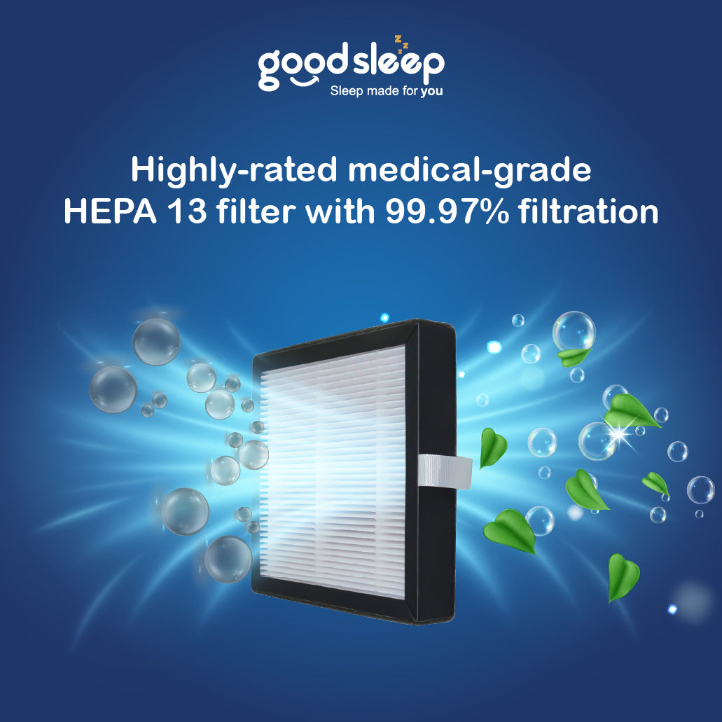 Goodsleep Forest 2-in-1 Dehumidifier/Air Purifier